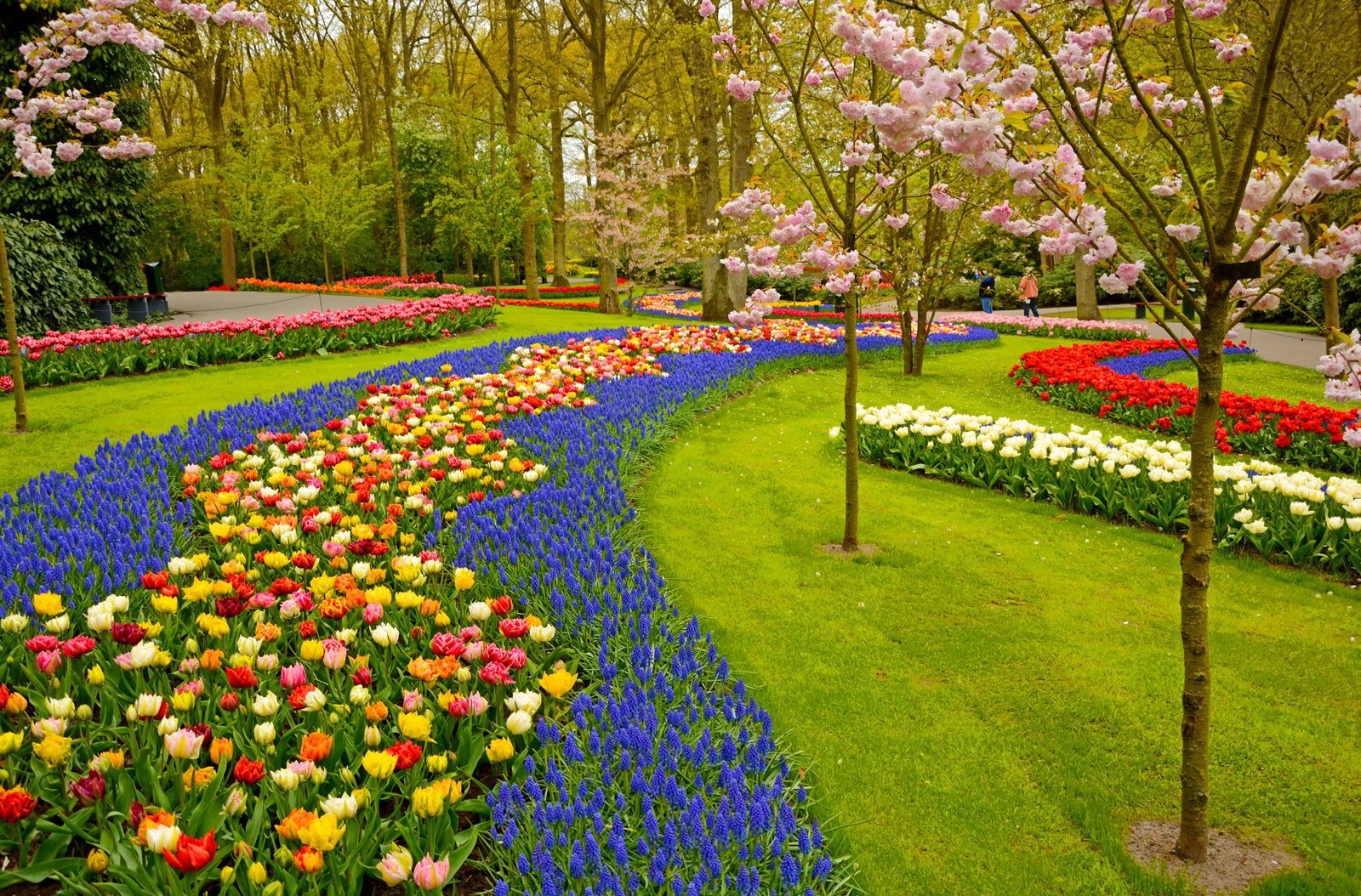 Keukenhof-Gardens-Lisse-Netherla